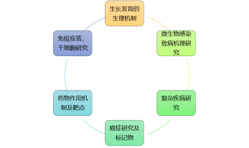 图片6