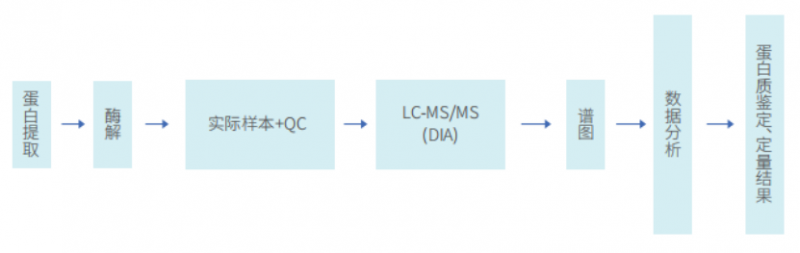 【蛋白组】国内官网更新 202504301377