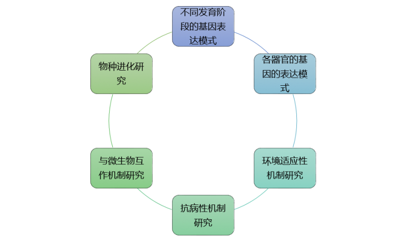 图片7