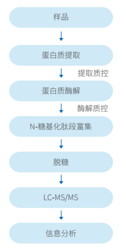 【蛋白组】国内官网更新 202504302896