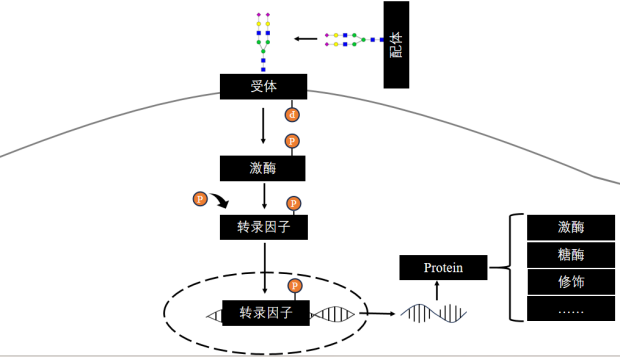 【蛋白组】国内官网更新 202504303519