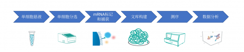 官网图10