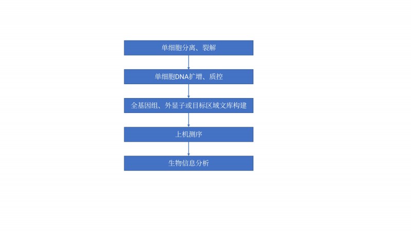微信图片_20241122135921