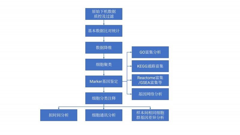 微信图片_202411221359201