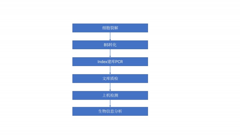 微信图片_20241122135920