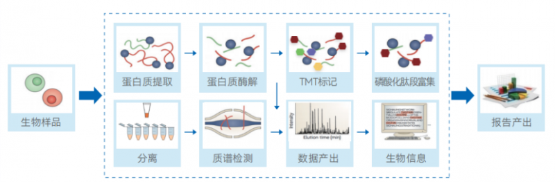 【蛋白组】国内官网更新 202504301687
