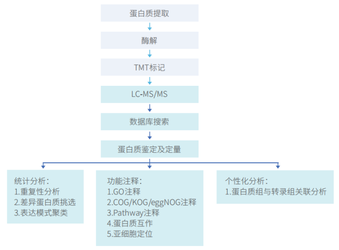 【蛋白组】国内官网更新 20250430515