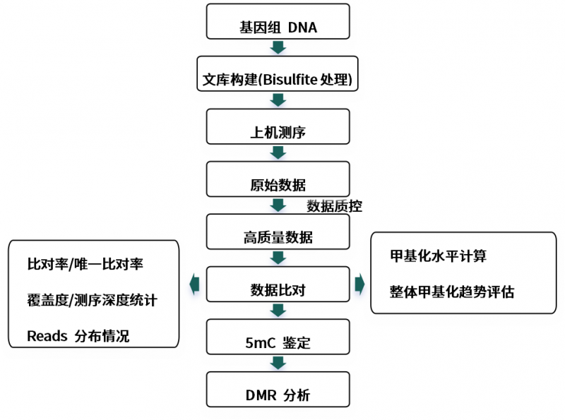 图片333