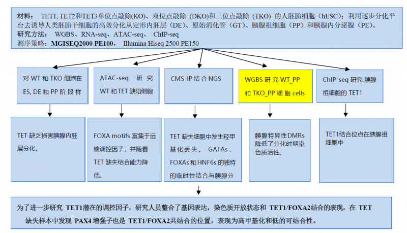 图片 6